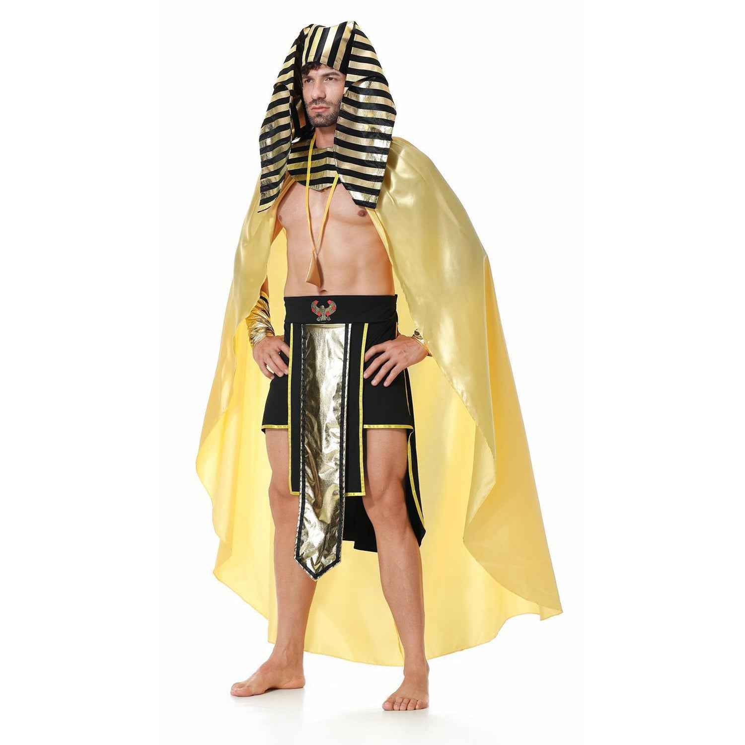 Adult Men Royal Pharaoh Halloween Costume